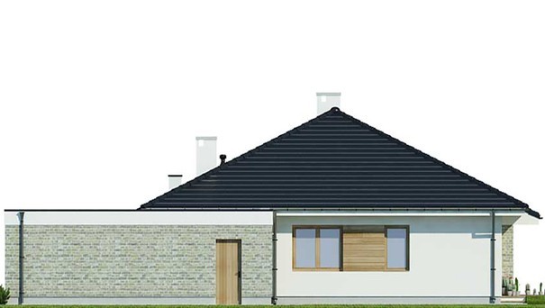 Visualization gallery - One-story house with huge windows in the living room