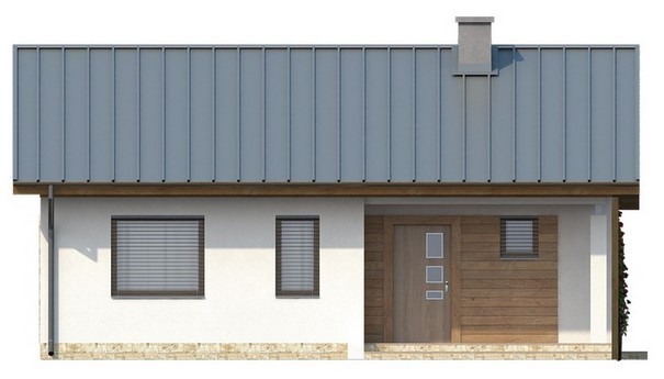 Visualization gallery - The project of a small one-story cottage