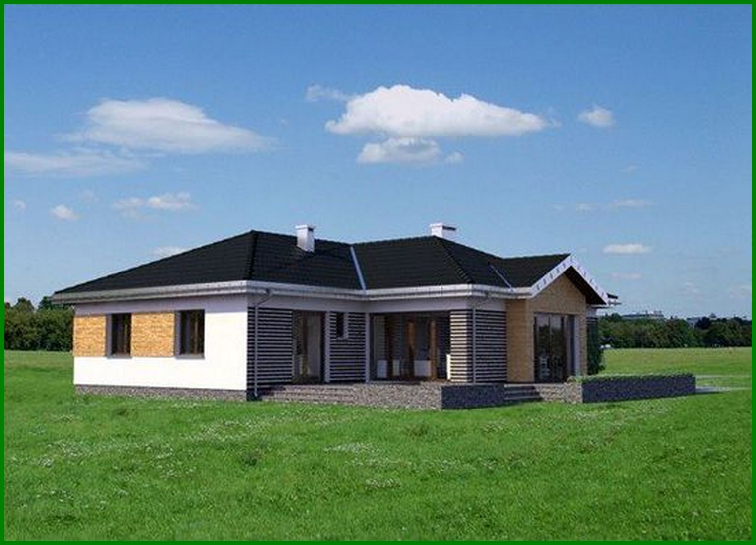 Visualization gallery - Beautiful one-story house with a garage for two cars